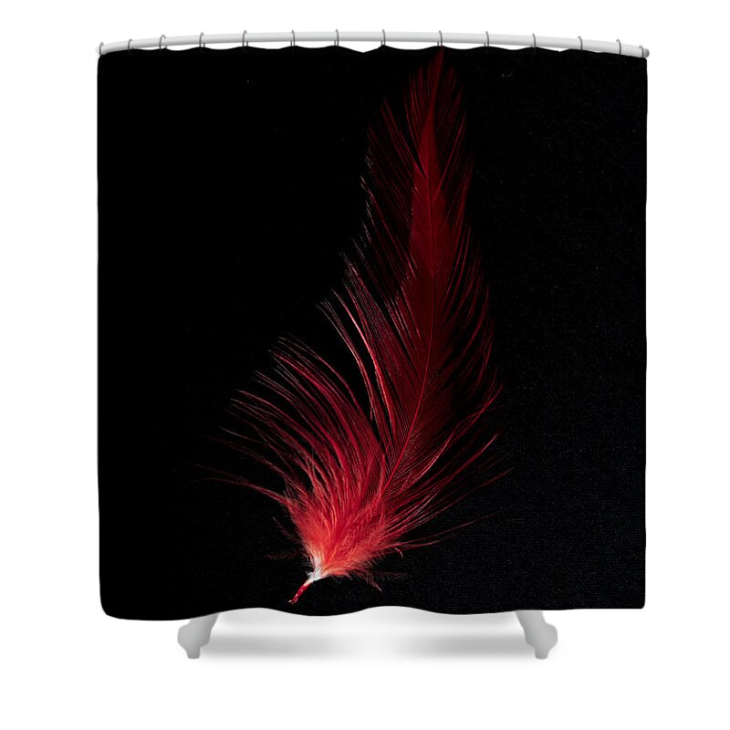 Black Shower Curtain featuring the photograph Fiery Feather by Randi Grace Nilsberg