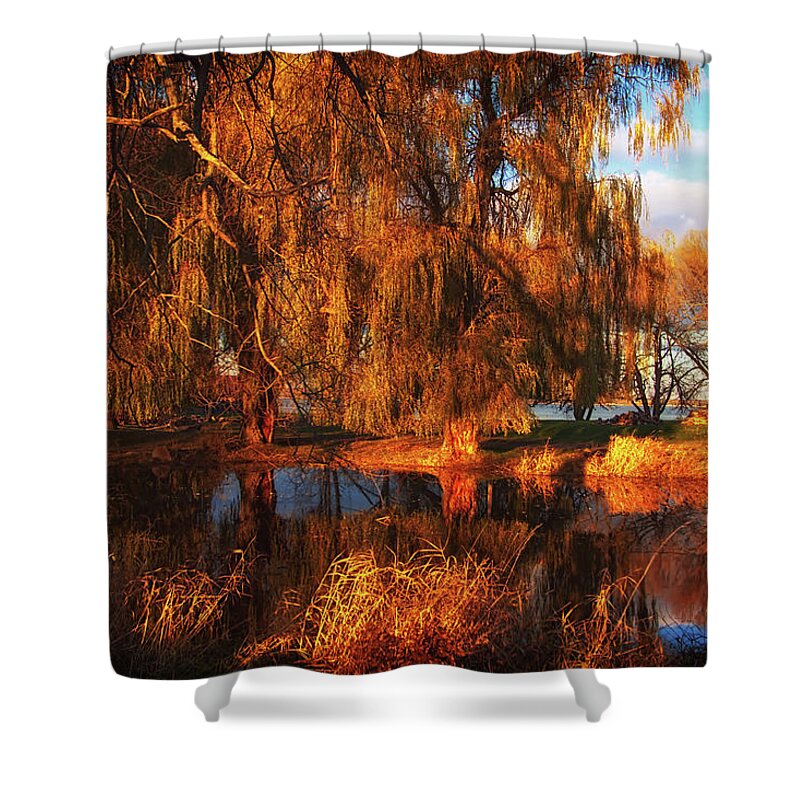 Orange Shower Curtain featuring the photograph Fiery orange by Tatiana Travelways