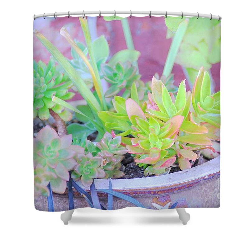 Pot Shower Curtain featuring the photograph Filled with Color by Merle Grenz
