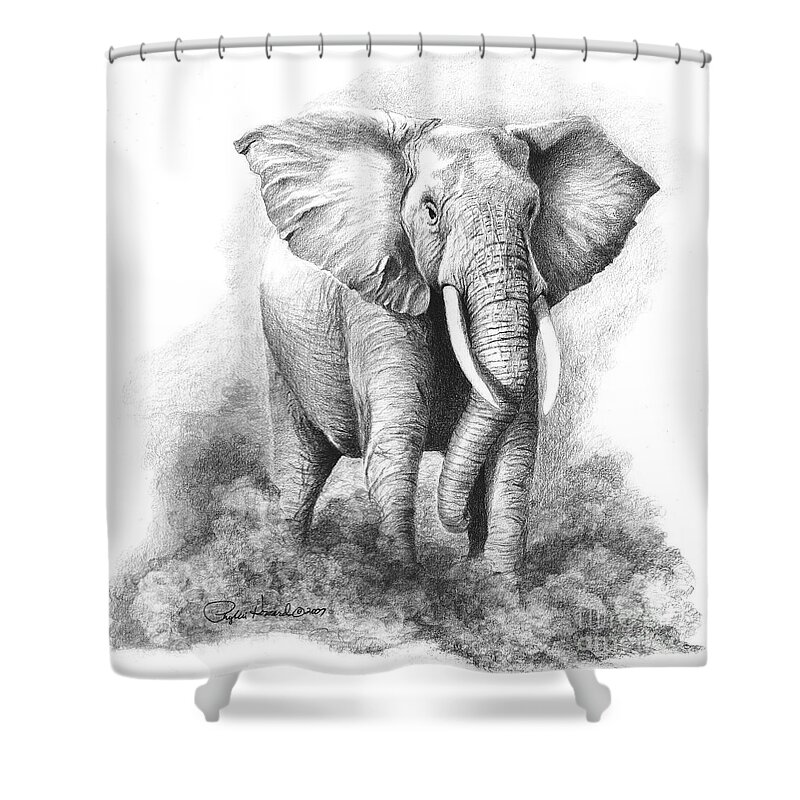 Elephant Shower Curtain featuring the drawing Final Warning by Phyllis Howard