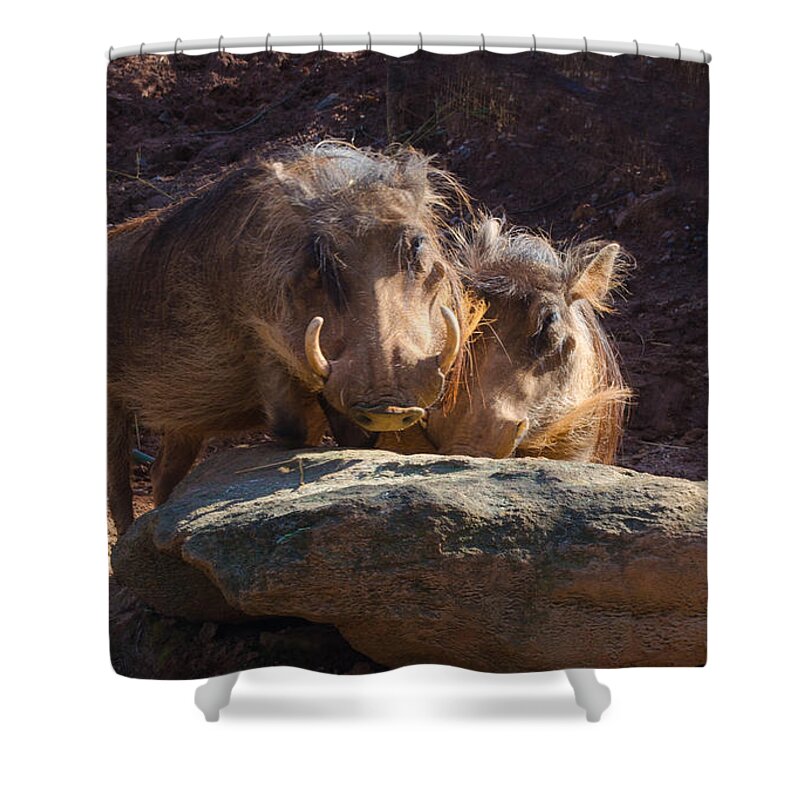 Warthogs Shower Curtain featuring the photograph Fine Looking Couple by Donna Brown