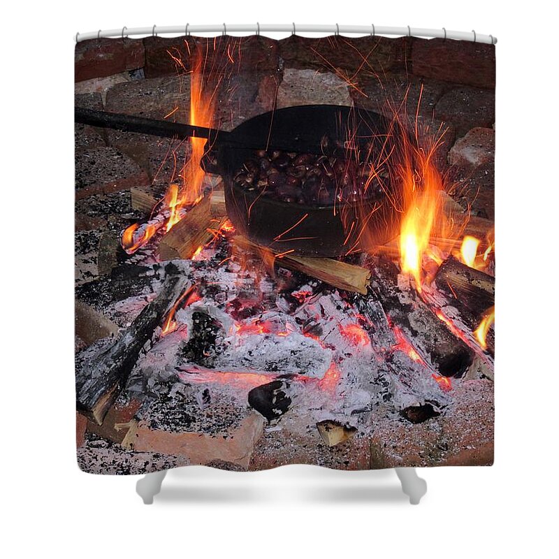 Chestnut Shower Curtain featuring the photograph Fire And Chestnut by Vesna Martinjak