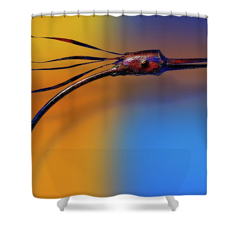 Photography Shower Curtain featuring the photograph Fire Bird by Paul Wear