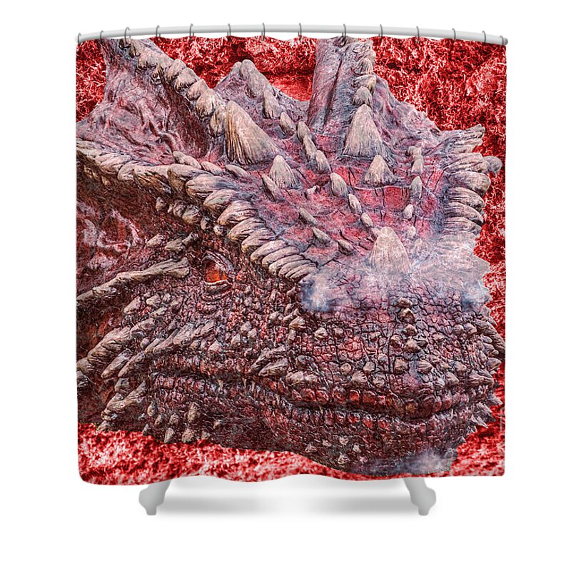St Davids Day Dragon Shower Curtain featuring the photograph Fire Dragon by Steve Purnell