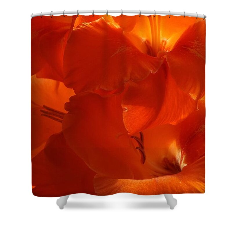 Flowers Shower Curtain featuring the photograph Fire Whispers by Danielle R T Haney
