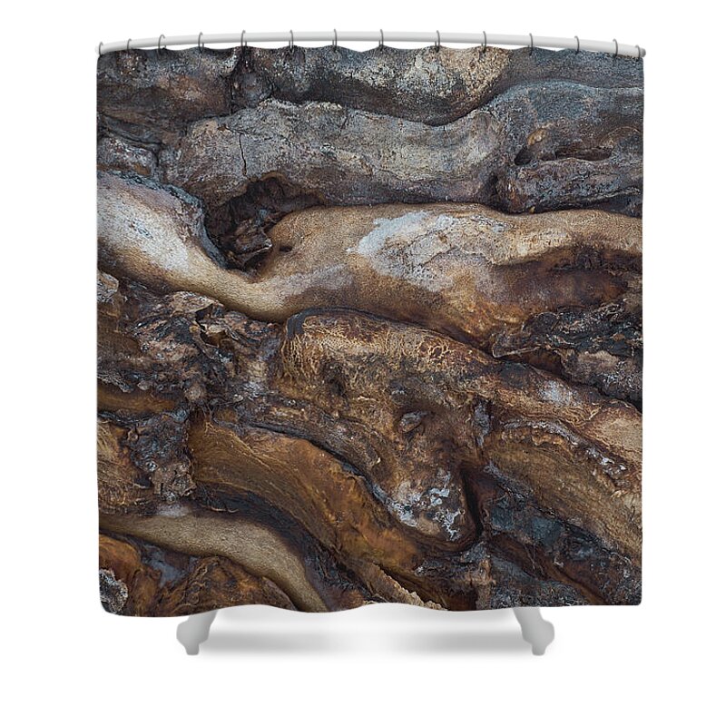 Firewood Shower Curtain featuring the photograph Firewood Abstract by Jim Zablotny