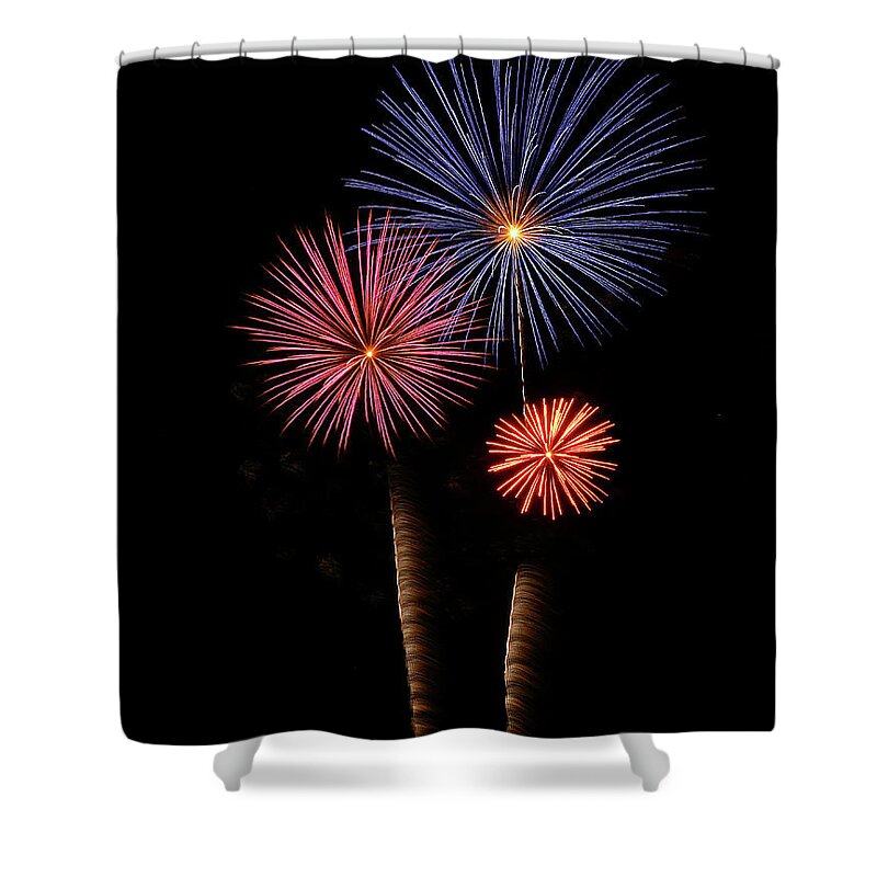 Fireworks Shower Curtain featuring the photograph Firework Trees by Elaine Malott