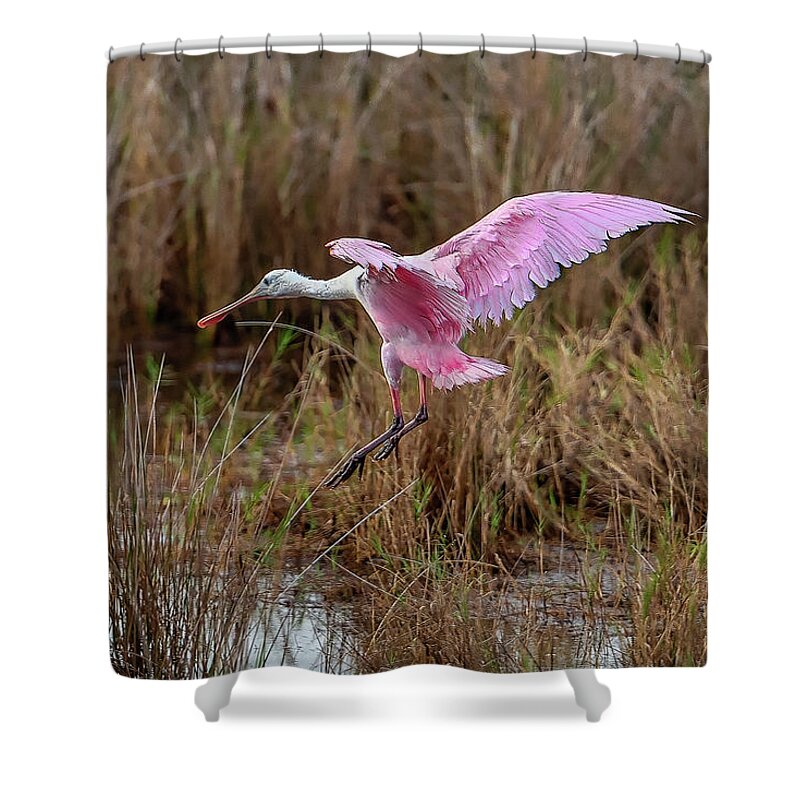 Birds Shower Curtain featuring the photograph First Arrival by Norman Peay
