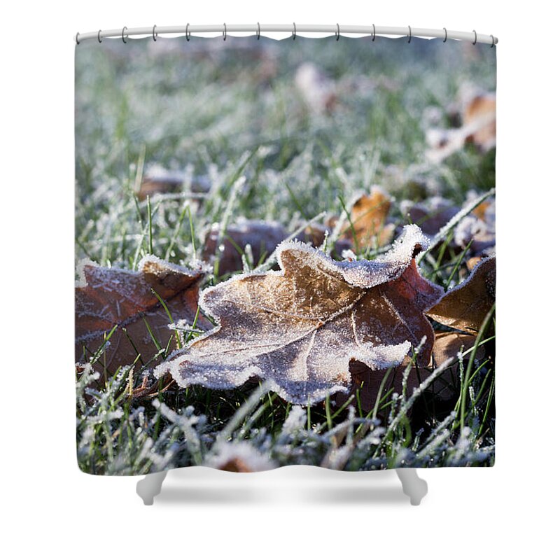 Nature Shower Curtain featuring the photograph First frost by Helga Novelli