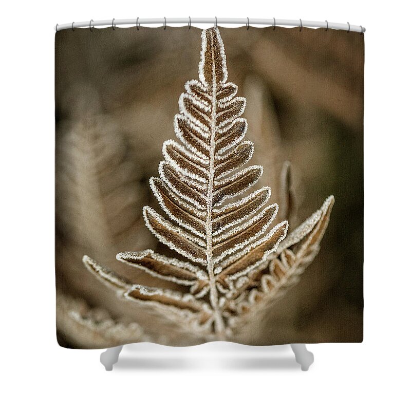 Frost Shower Curtain featuring the photograph First Frost by Jaki Miller