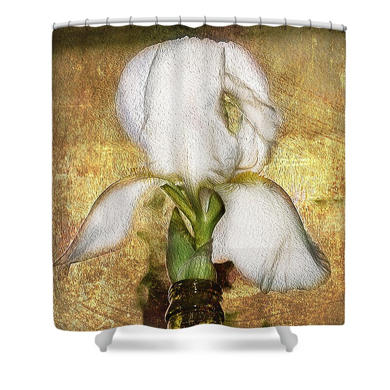 Iris Shower Curtain featuring the photograph First Iris by Cynthia Wolfe