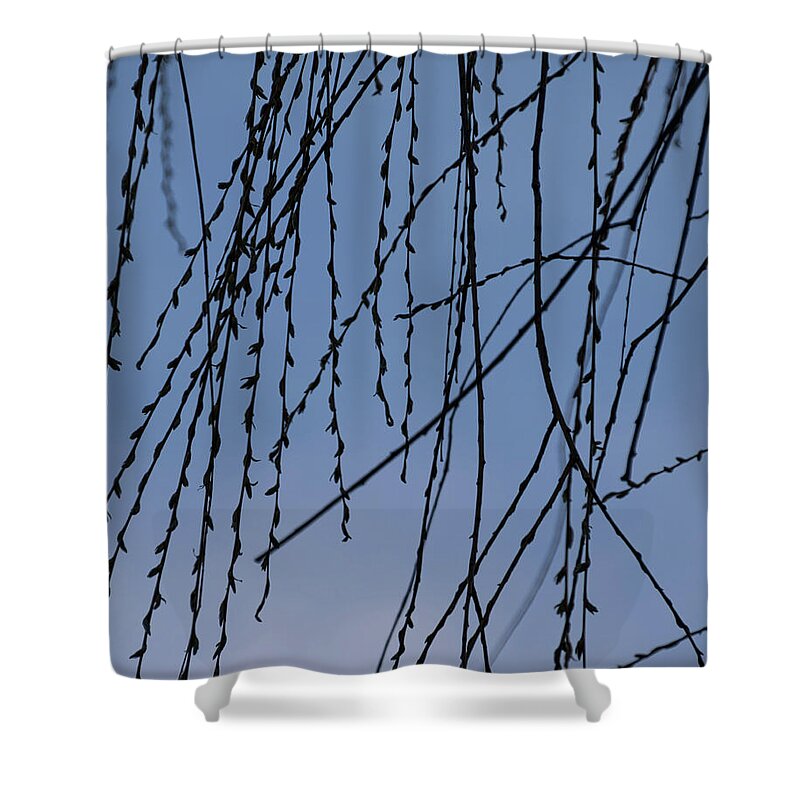 Silhouette Shower Curtain featuring the photograph First Reveal - by Julie Weber
