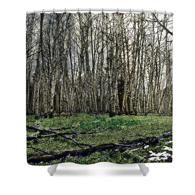 First Shower Curtain featuring the photograph First Snow by Danielle Basler