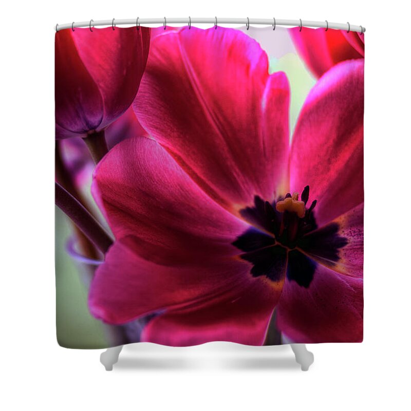 Hdr Shower Curtain featuring the photograph First to Wake by Brad Granger