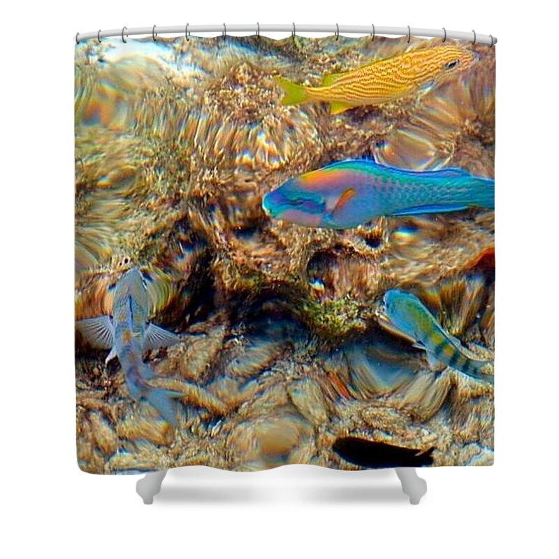 Fish Shower Curtain featuring the photograph Fish by Betty Buller Whitehead