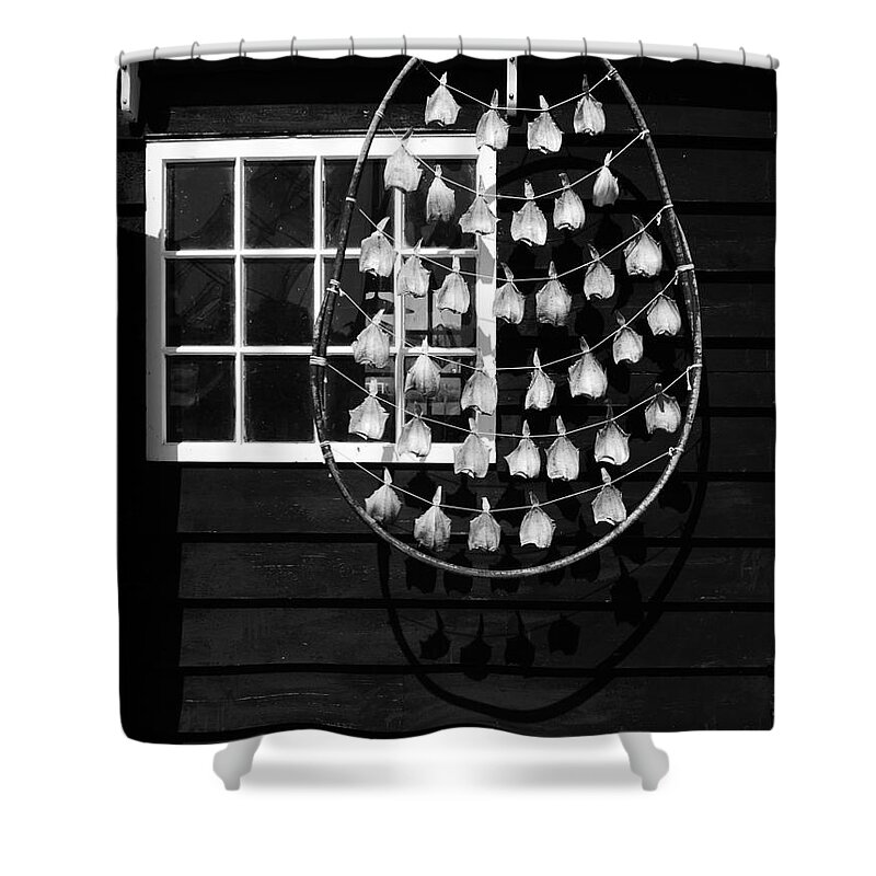 Dream Catcher Shower Curtain featuring the photograph Fish in a Hoop by Lexa Harpell
