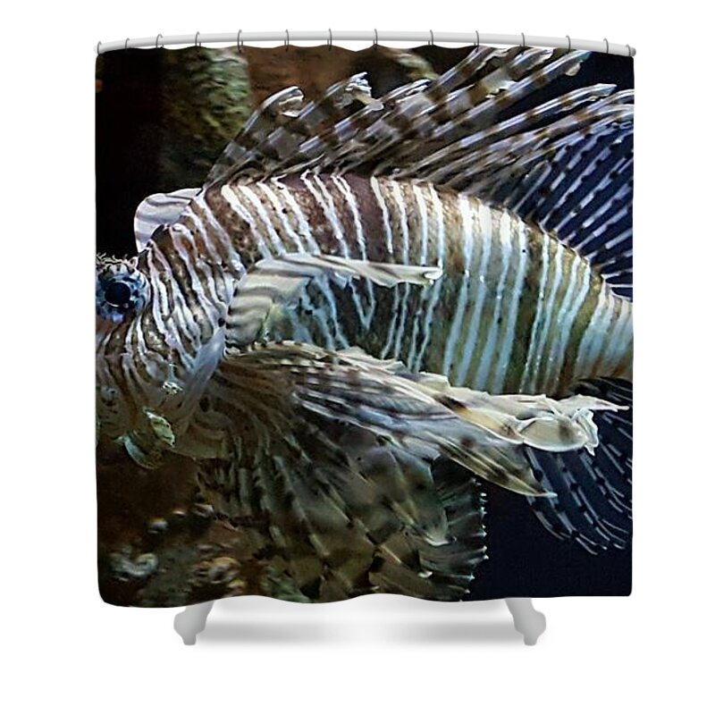 Water Shower Curtain featuring the photograph Fish by Jimmy Clark