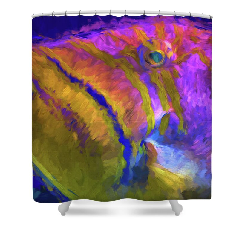 Fish Shower Curtain featuring the photograph Fish Paint Dory Nemo by David Haskett II