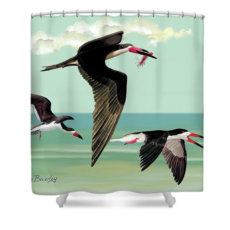 Black Skimmers Shower Curtain featuring the painting Fishing in the Gulf by Anne Beverley-Stamps