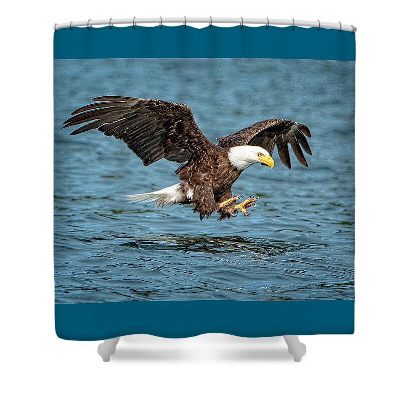 Bald Eagle Shower Curtain featuring the photograph Fishing by Jeanette Mahoney