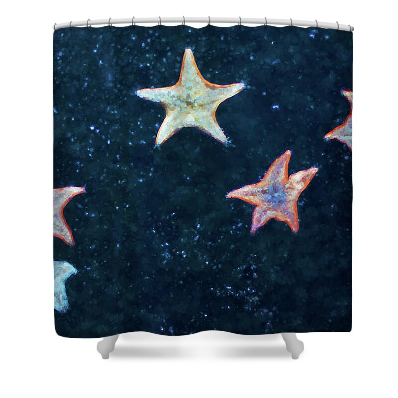 Stars Shower Curtain featuring the photograph Five Starfish by David Gordon