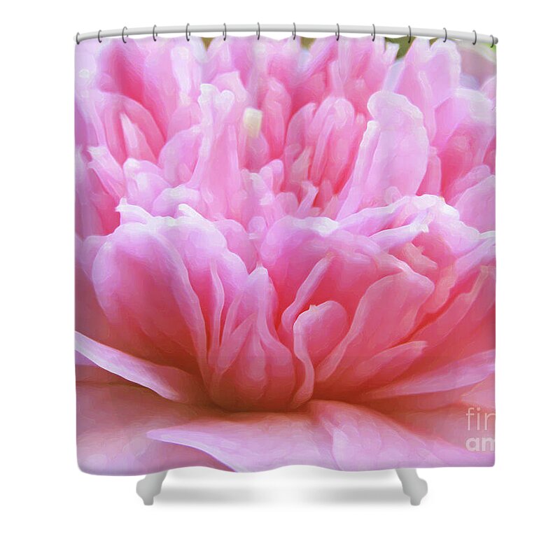 Camellia Shower Curtain featuring the photograph Flamboyant Camillia by Kim Tran
