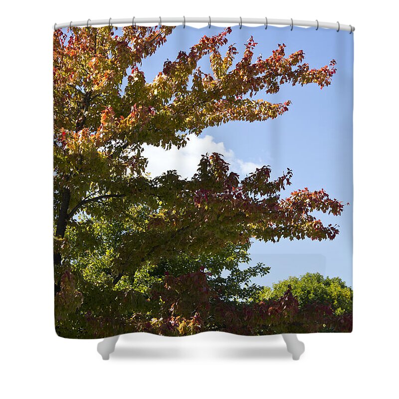 Red Shower Curtain featuring the photograph Flame-Tipped by Nancy Dinsmore
