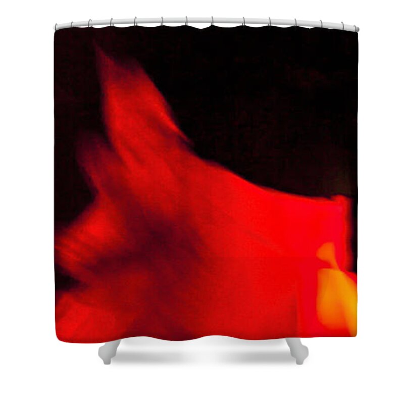 Andalusia Shower Curtain featuring the photograph Flamenco Series 25 by Catherine Sobredo