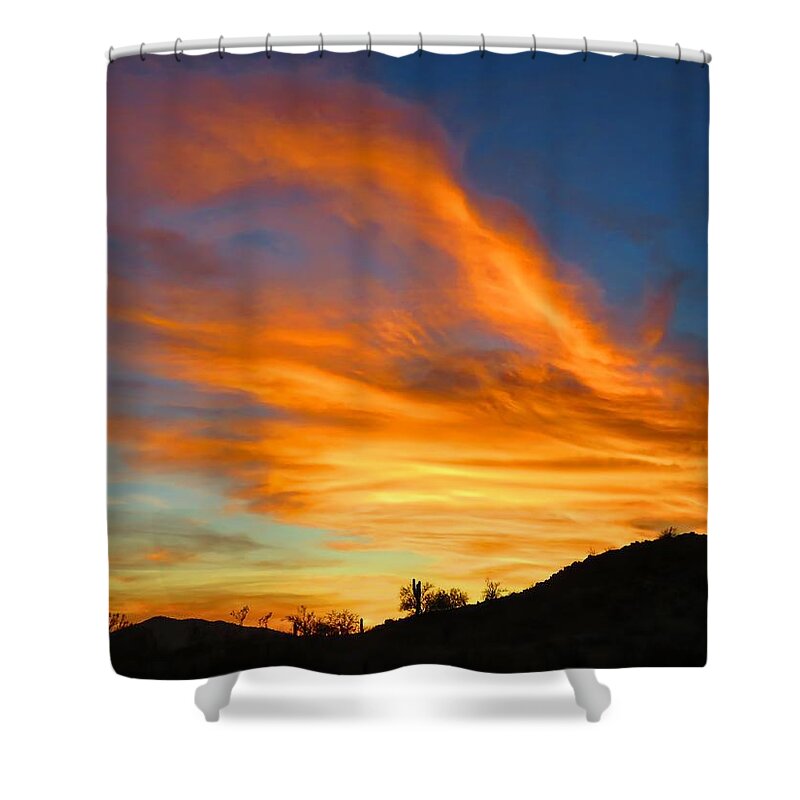 Arizona Shower Curtain featuring the photograph Flaming Hand Sunset by Judy Kennedy