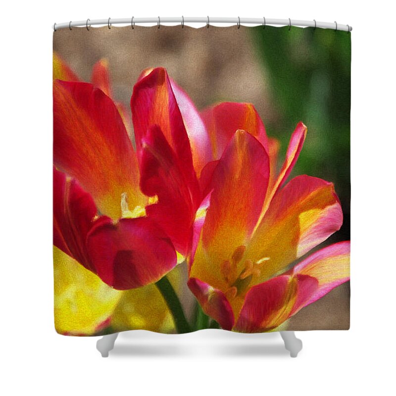 Tulips Shower Curtain featuring the painting Flaming Tulips by Jeffrey Kolker
