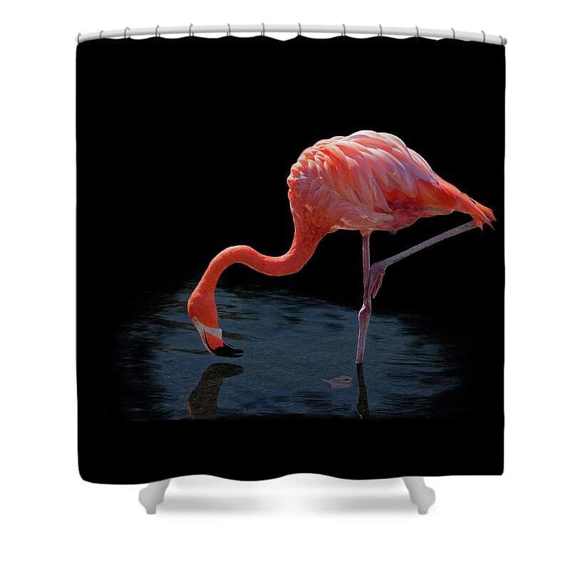 Animal Shower Curtain featuring the photograph Flamingo 1249 by Rudy Umans