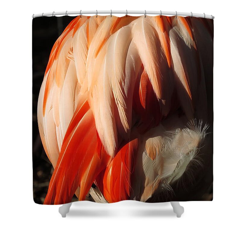 Flamingo Shower Curtain featuring the digital art Flamingo Feathers by Kathleen Illes