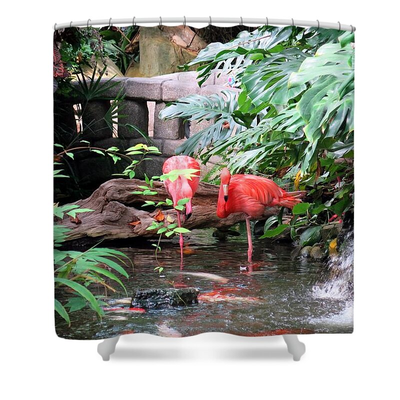 Birds Shower Curtain featuring the photograph Flamingos by Betty Buller Whitehead
