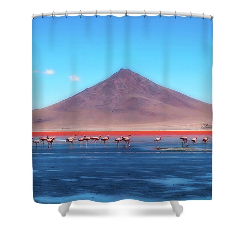 Bolivia Shower Curtain featuring the photograph Flamingos Of Bolivia by Mountain Dreams