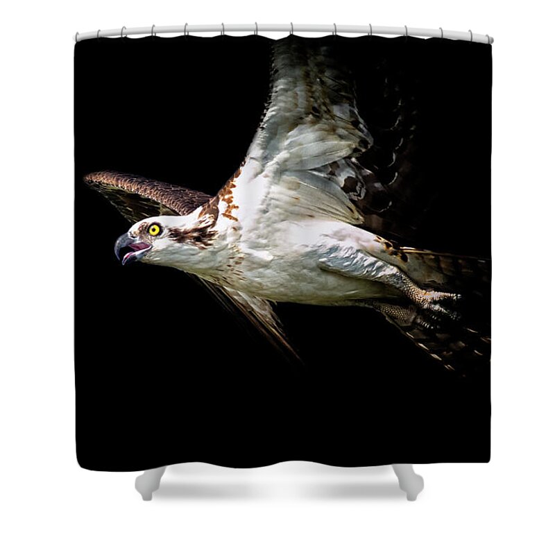 Crystal Yingling Shower Curtain featuring the photograph Flaps Up by Ghostwinds Photography