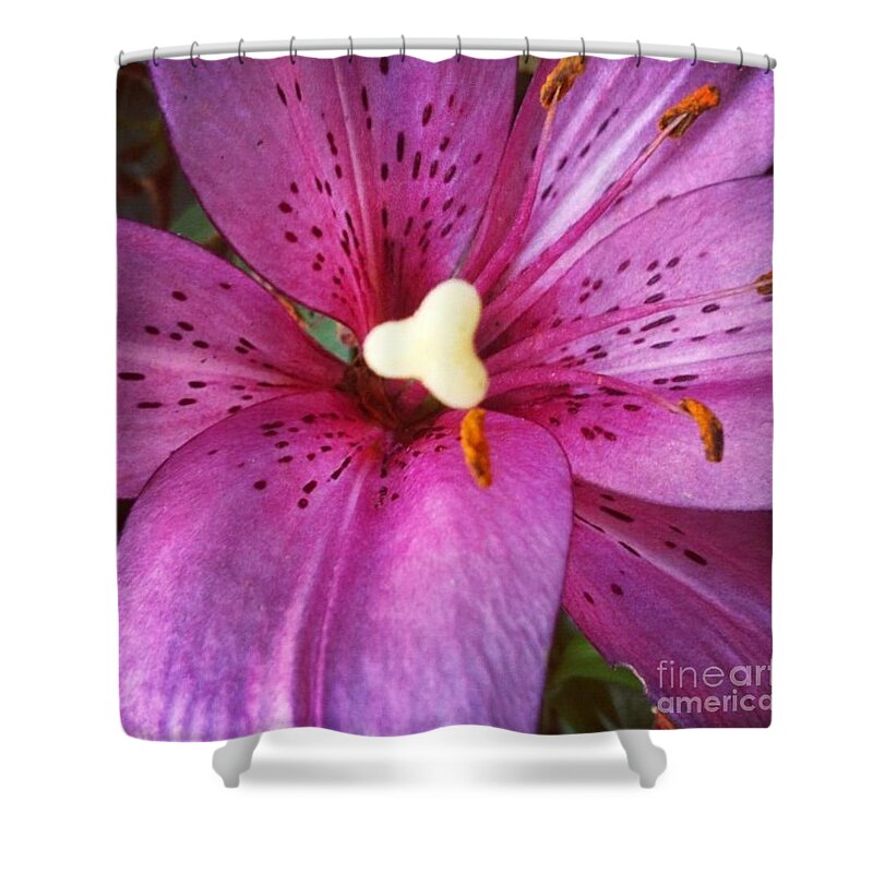 Lily Shower Curtain featuring the photograph Flecked by Denise Railey