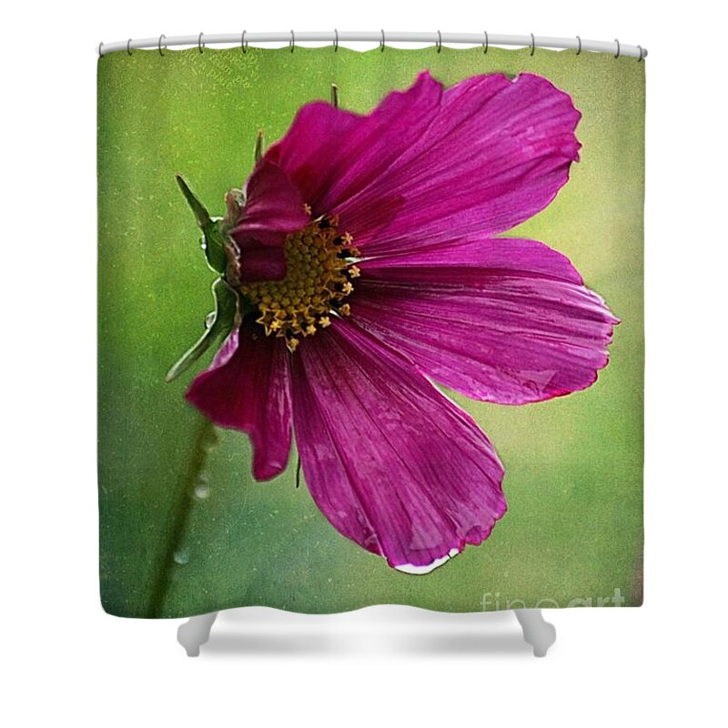 Pink Poppy Poppy Shower Curtain featuring the photograph Fleurina 02 - 03t01a by Variance Collections