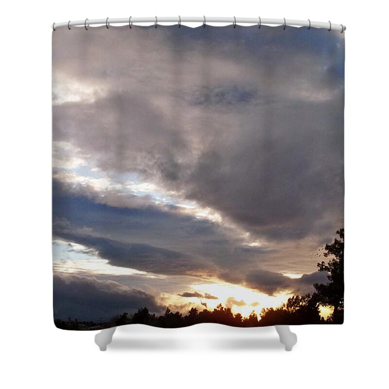 Flight Into Evening Shower Curtain featuring the photograph Flight Into Evening by Glenn McCarthy Art and Photography