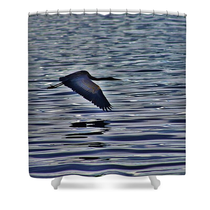 Bird Shower Curtain featuring the photograph Flight into Sunrise by Craig Wood