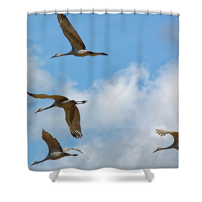 Cranes Shower Curtain featuring the photograph Flight of the Cranes by Peter Ponzio