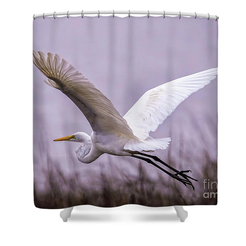 Egret Shower Curtain featuring the photograph Flight Of The Great Egret by DB Hayes