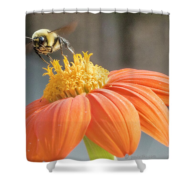  Shower Curtain featuring the photograph Flight.... by Paul Vitko