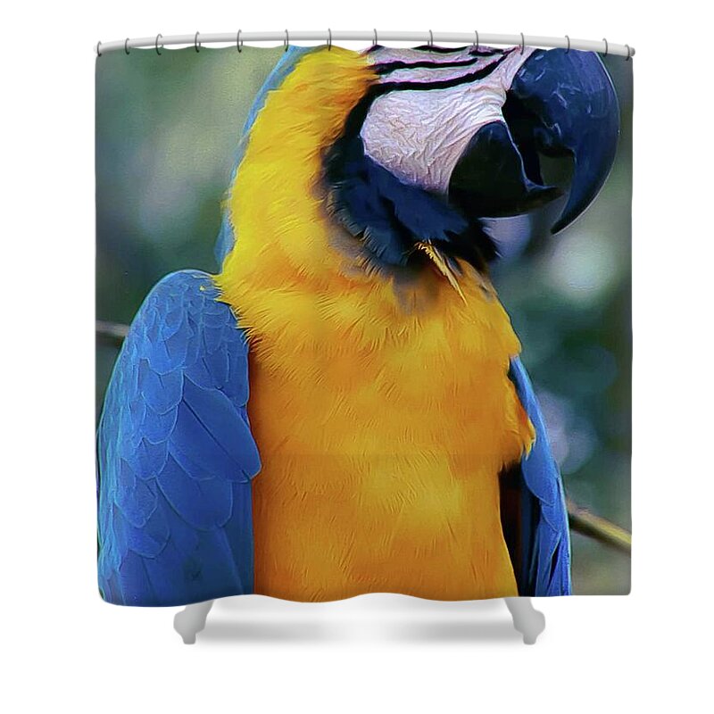 Macaw Shower Curtain featuring the photograph Flirtacious Macaw by DigiArt Diaries by Vicky B Fuller