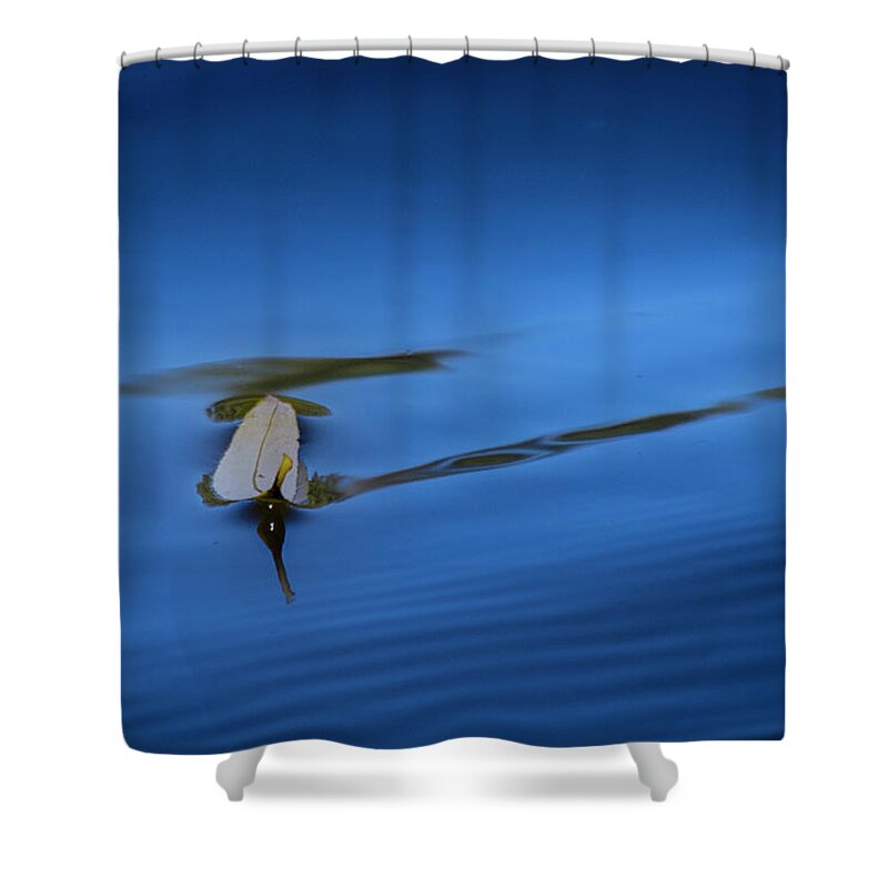 Fall Shower Curtain featuring the photograph Floating by Allin Sorenson