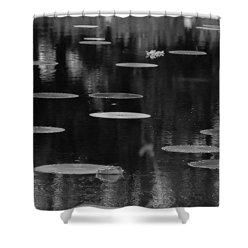 Leaf Shower Curtain featuring the photograph Floating Pads by Robert Wilder Jr