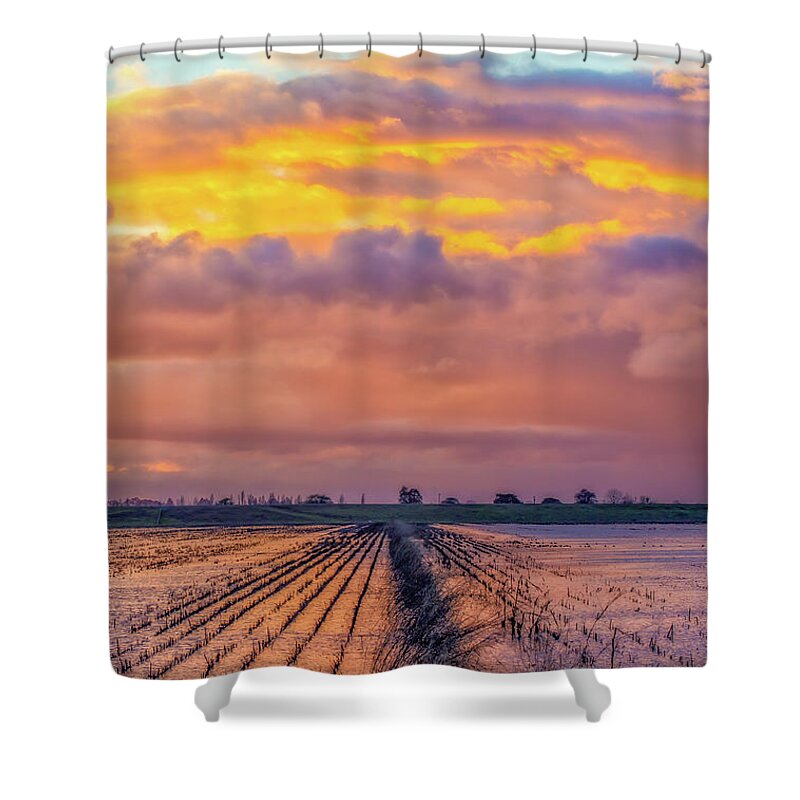 Landscape Shower Curtain featuring the photograph Flooded Field at Sunset by Marc Crumpler