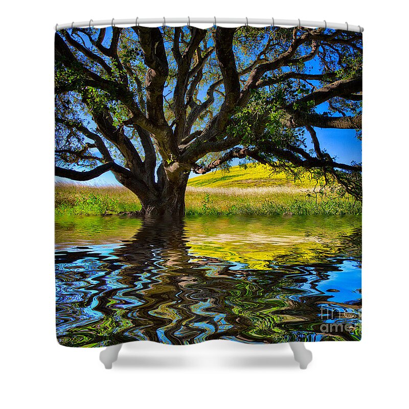Oak Shower Curtain featuring the photograph Flooded Oak by Mimi Ditchie
