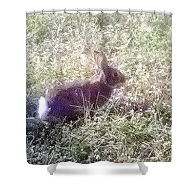 Rabbit. Bunny .wildlife Sanctuary Shower Curtain featuring the photograph Floppy Our Local Bunny by Suzanne Berthier