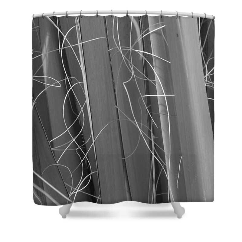 Black And White Energy Dynamic Contrast Shower Curtain featuring the photograph Flora Series 1-15 by J Doyne Miller