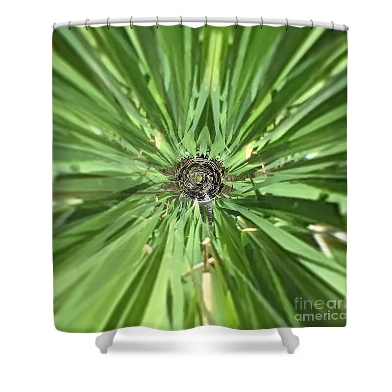 Summer Shower Curtain featuring the photograph Floral Abstract by Tom Gari Gallery-Three-Photography